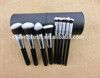 10pcs factory direct selling makeupbrush set with cosmetic case/